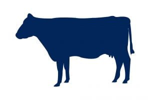 Beef Icon Tab