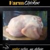 Free Range Farm Chicken